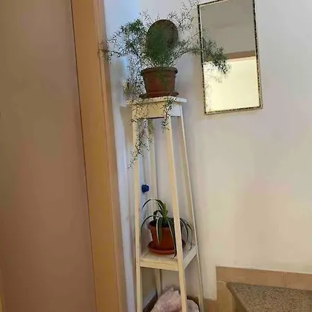 Vintage Apartment *